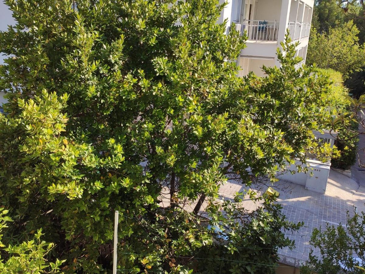 Apartments Ivo Makarska Extérieur photo
